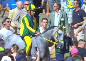 Jinete con traje amarillo y verde montado en un caballo gris entre una multitud en un evento al aire libre