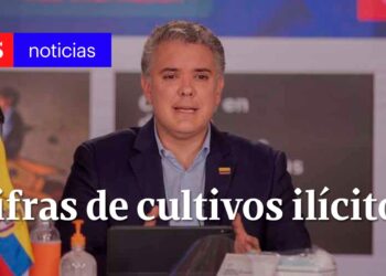 Persona en un set de noticias frente a la bandera colombiana y el titular 'Cifras de cultivos ilícitos'.