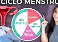 Descubre los 11 síntomas de PMDD que los médicos advierten que las mujeres no pueden ignorar, ilustración del útero, gráfico de días fértiles/infertiles y mujer señalando el ciclo