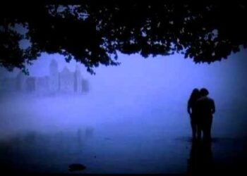 Siluetas junto a un lago brumoso al anochecer, árboles en primer plano — Dónde vive David Bisbal: descubre su impresionante hogar en Madrid