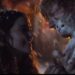 Mujer sonriente sostiene un gatito entre copos de nieve y luces cálidas — El impresionante patrimonio de Ed Sheeran: descubre su fortuna y más