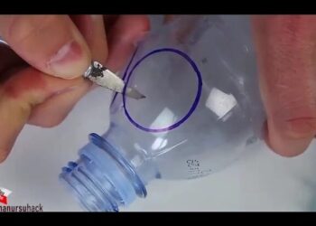 Manos recortando una botella de plástico marcada con un círculo con un cutter; ¿De dónde es Lupa? Descubre su origen y curiosidades fascinantes