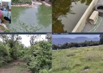 Collage de estanques, senderos y pradera con cámara en vivo; ¿Dónde vive Frank Cuesta? Descubre su nuevo santuario en Tailandia