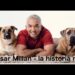 Hombre sonriente acostado entre dos perros grandes sobre una alfombra clara