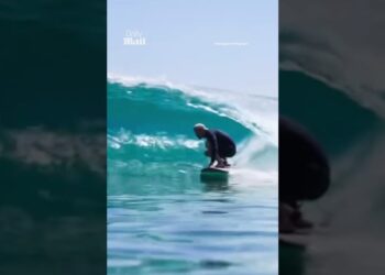 Surfista capturado dentro de una ola turquesa en postura baja sobre la tabla; El sorprendente papel de Archie en el nuevo proyecto de Netflix de Harry y Meghan que no te puedes perder