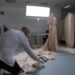 Conservador con guantes arregla el largo vestido sobre el suelo junto a un maniquí; ¿De dónde es Balenciaga? Descubre sus raíces vascas y legado