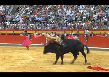 Torero lanzado por un toro en una plaza con público numeroso y capote rojo en el suelo