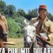 Dos jinetes sonrientes a caballo en un paisaje campestre con estética de western; ¿Cuánto cobra Arcángel por concierto? Descubre su tarifa actual