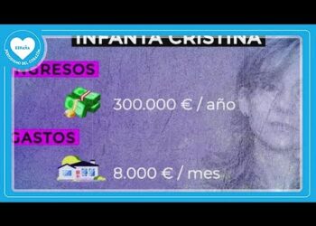 Gráfico informativo con borde azul que muestra ingresos de 300.000 €/año y gastos de 8.000 €/mes sobre un fondo con un retrato difuminado; no puedo identificar personas en la imagen.