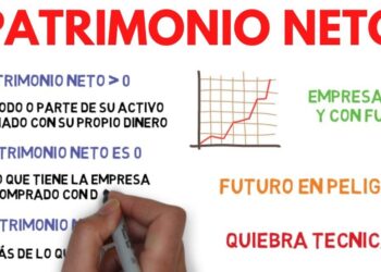 Infografía sobre patrimonio neto, gráfico y estados financieros; ¿Cuánto dinero tiene Yuya? Descubre su fortuna y secretos financieros