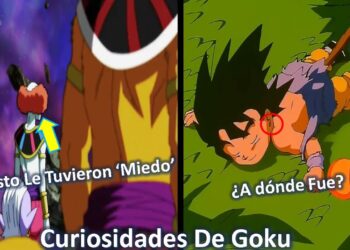 La familia de Goku: secretos y curiosidades que no conocías en una imagen dividida que muestra deidades y a un Goku niño inconsciente junto a una esfera del dragón