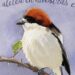 Ilustración en acuarela de un pájaro posado en una rama espinosa con fondo lila, Dónde vive Robe Iniesta: descubre su hogar y estilo de vida.
