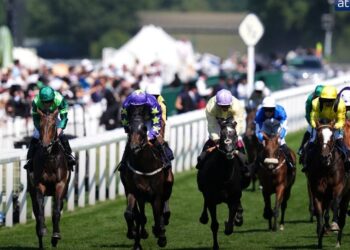 Carrera de caballos en Royal Ascot con varios jinetes compitiendo y público en las gradas