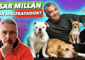 Hombre adiestrador con varios perros de distintas razas y un texto que cuestiona su trato; descubre cuánto cobra el encantador de perros